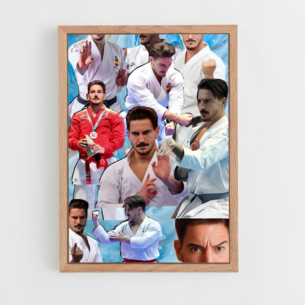 Poster Maîtrise du Karaté (vue 4)